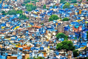 Jodhpur: Blue City Full-Day Tour with Guided Heritage Walk