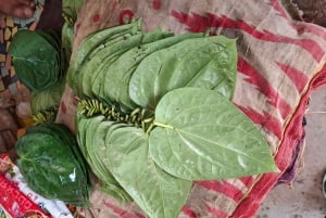 Jodhpur Blue City Heritage Walking Tour