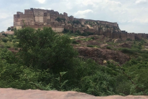 Jodhpur Blue City Heritage -kävelykierros, nouto ja palautus