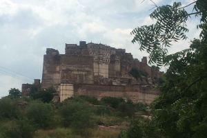Jodhpur Blue City Heritage -kävelykierros, nouto ja palautus