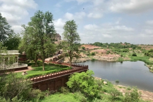 Jodhpur Blue City Heritage -kävelykierros, nouto ja palautus