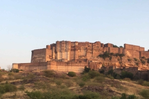Jodhpur Blue City Heritage -kävelykierros, nouto ja palautus