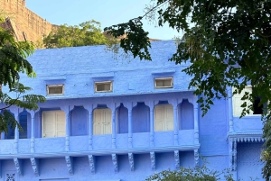 Jodhpur Blue City Heritage -kävelykierros, nouto ja palautus