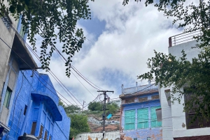 Jodhpur: Blue City Heritage Walking Tour with Guide