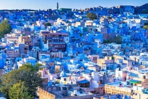 Jodhpur: Blue City Heritage Rundgang mit Abholung und Mittagessen