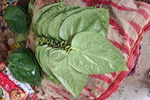 Jodhpur Blue City Heritage Rundgang