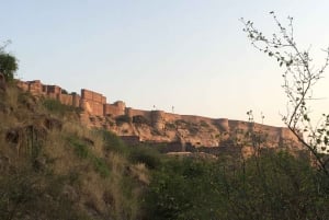 jodhpur blauwe stad wandeltour met gids
