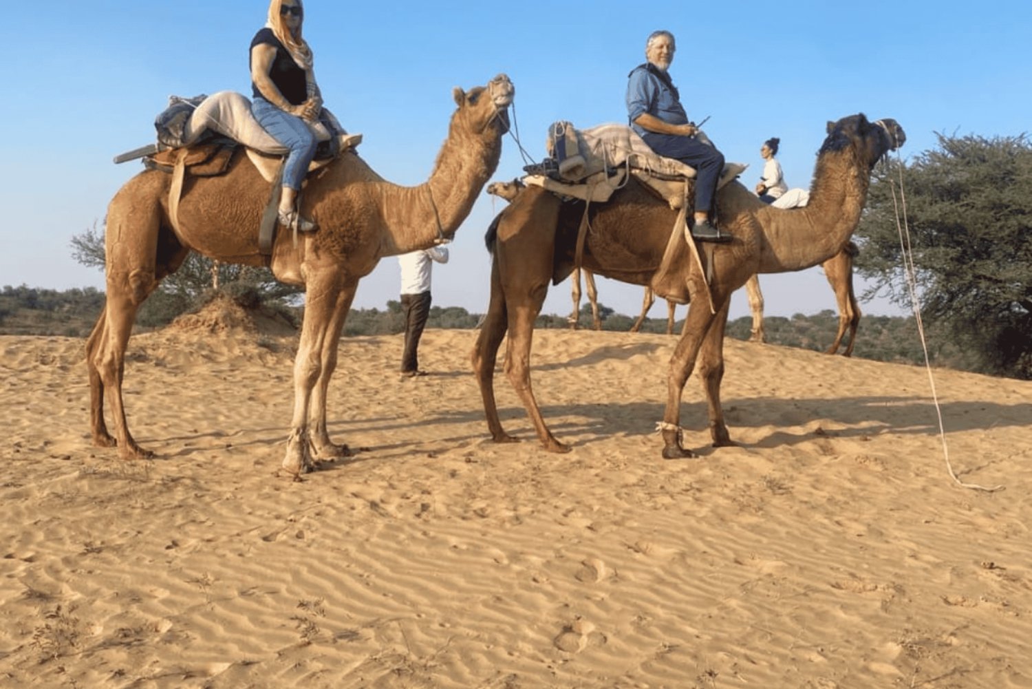 Jodhpur Kamelen- en jeepsafari met zonsondergang, volksdans en diner