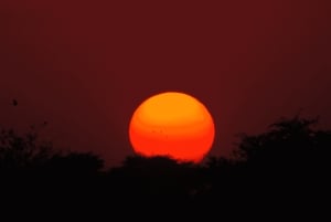 Jodhpur Kamelen- en jeepsafari met zonsondergang, volksdans en diner