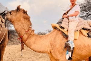 Jodhpur Kamelen- en jeepsafari met zonsondergang, volksdans en diner