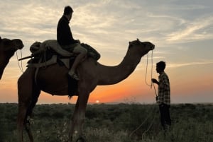 Jodhpur Kamelen- en jeepsafari met zonsondergang, volksdans en diner