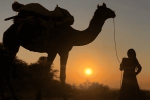 Jodhpur Kamelen- en jeepsafari met zonsondergang, volksdans en diner
