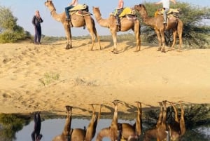 Jodhpur Camel Safari & Overnight Stay In Desert With Sumer