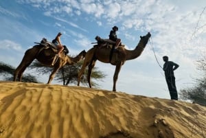 Jodhpur kamelensafari & overnachting in woestijn met Soemer