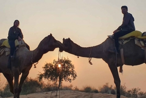 Safari na wielbłądach w Jodhpur i nocleg na pustyni z Sumerem
