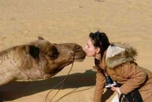 Jodhpur kamelsafari og overnatning i ørkenen med Sumer