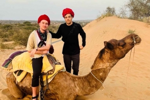 Jodhpur Camel Safari perinteisen ruoan kanssa Sumerin kanssa