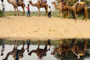Jodhpur Camel Safari com comida tradicional com Sumer