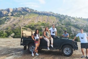 Jodhpur: Viagem de 1 dia a Jawai Leopard Safari e Ranakpur