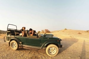 Jodhpur: Viagem de 1 dia a Jawai Leopard Safari e Ranakpur