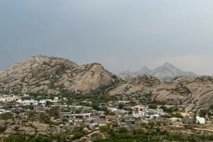 Jodhpur: Viagem de 1 dia a Jawai Leopard Safari e Ranakpur