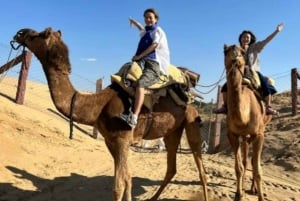 Jodhpur: Ökenkamel- och jeepsafari med traditionell mat