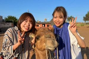 Jodhpur ørkenkamelsafari og jeepsafari med mat med Sumer