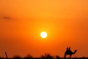 Jodhpur: Ökenkamel- och jeepsafari med traditionell mat