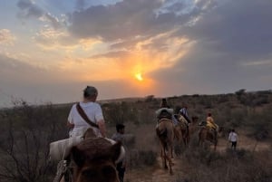 Jodhpur: Ökenkamel- och jeepsafari med traditionell mat