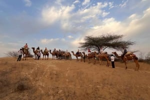 Jodhpur: Ökenkamel- och jeepsafari med traditionell mat