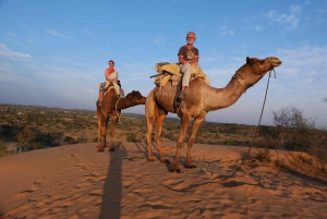 Jodhpur: Ökenkamel- och jeepsafari med traditionell mat