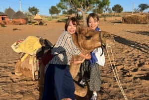 Jodhpur: Ökenkamel- och jeepsafari med traditionell mat