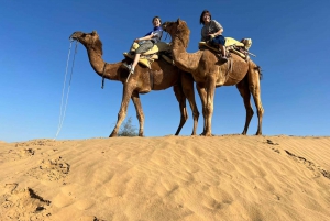 Jodhpur: Ökenkamel- och jeepsafari med traditionell mat