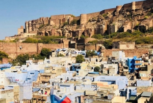 Jodhpur: Full-Day City Private Tour & Camel Safari