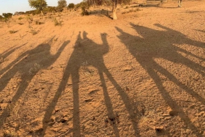 Jodhpur: Full-Day City Private Tour & Camel Safari