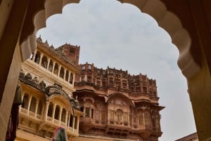 Jodhpur: dagtour met gids, lunch en toegangsprijzen