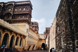Jodhpur: dagtour met gids, lunch en toegangsprijzen