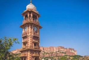 Jodhpur: dagtour met gids, lunch en toegangsprijzen