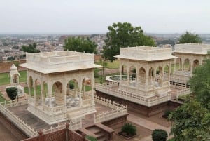 Jodhpur: dagtour met gids, lunch en toegangsprijzen