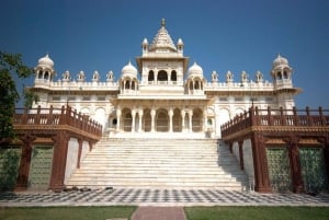 Jodhpur: dagtour met gids, lunch en toegangsprijzen
