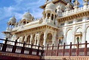 Jodhpur: dagtour met gids, lunch en toegangsprijzen