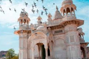 Jodhpur: passeio guiado de dia inteiro com almoço e entradas incluídas