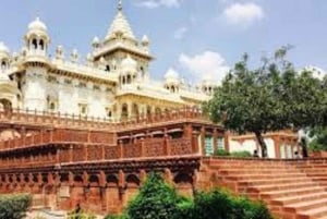 Jodhpur: passeio guiado de dia inteiro com almoço e entradas incluídas