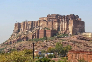 Jodhpur Half Day Heritage Tour