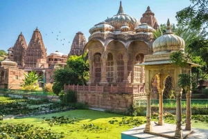 Jodhpur Half Day Heritage Tour