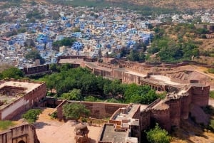 Jodhpur hel- eller halvdagstur med sightseeing i bil