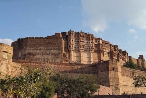 Jodhpur hel- eller halvdagstur med sightseeing i bil