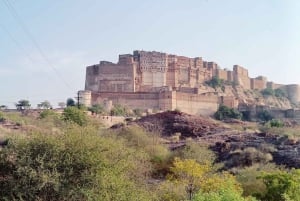 Jodhpur hel- eller halvdagstur med sightseeing i bil