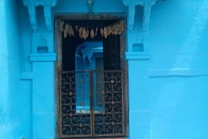 Джодхпур: Экскурсия по городу с гидом