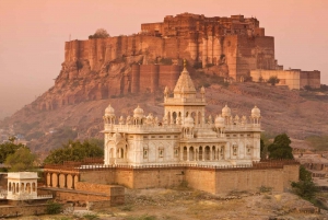 Jodhpur: Guided Full-Day Tour